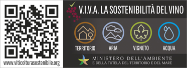 VIVAgenerica_VINO_4ind_373x136